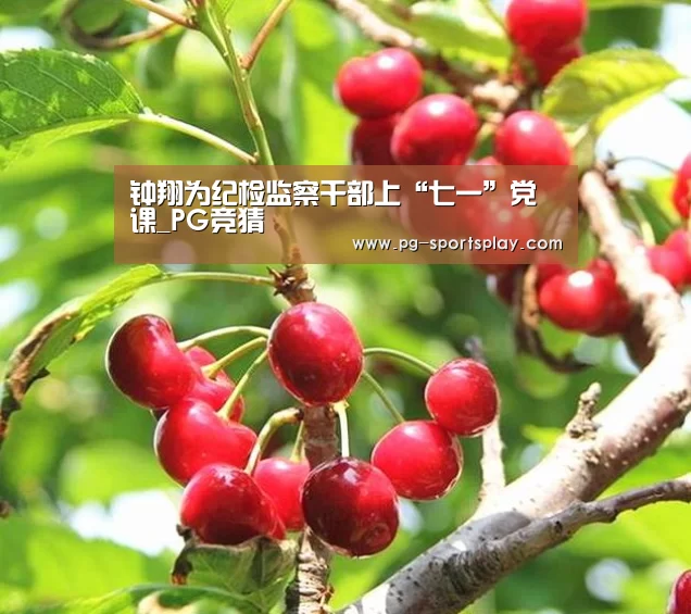 PG竞猜