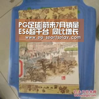 PG篮球