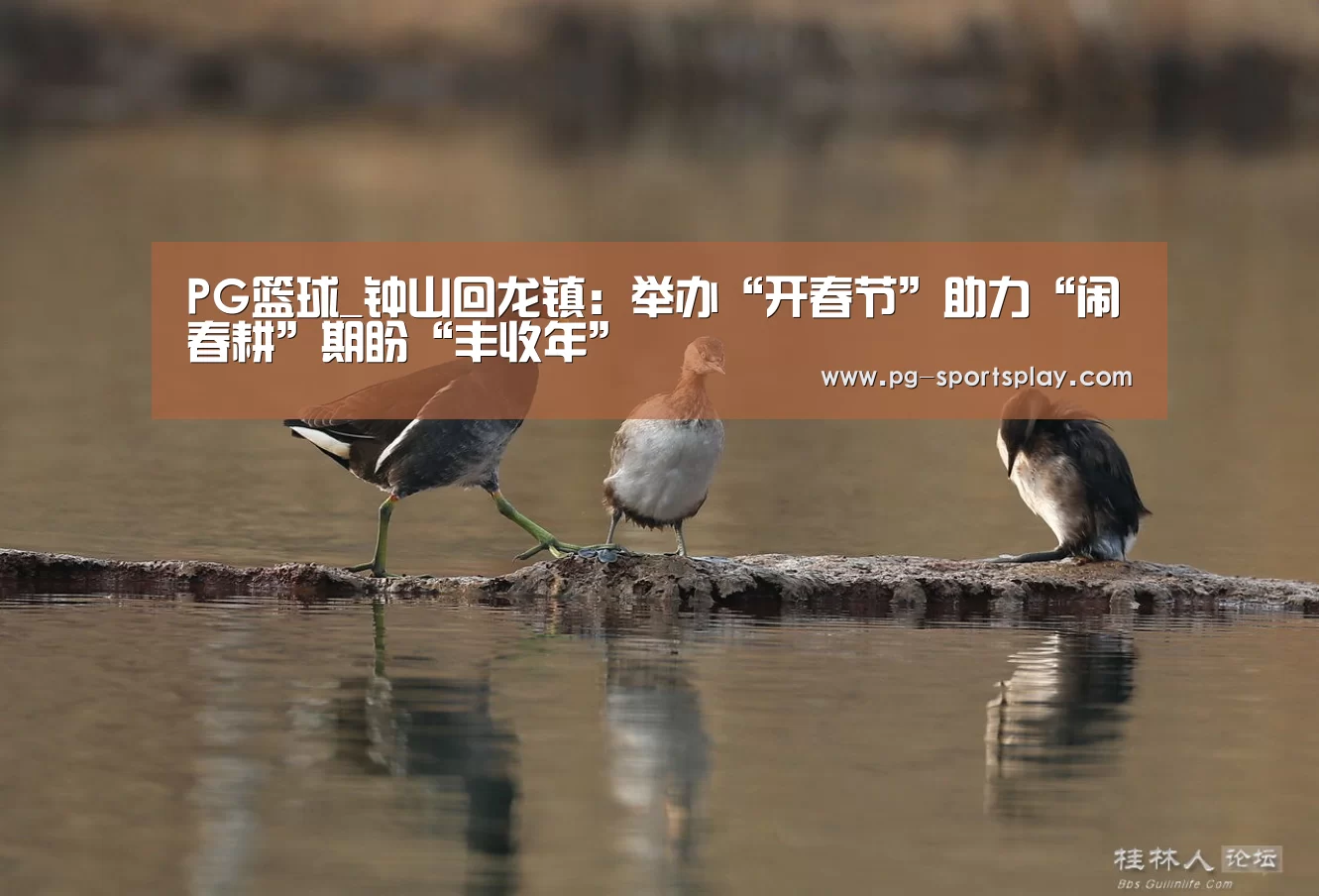 PG篮球_钟山回龙镇:举办“开春节”助力“闹春耕”期盼“丰收年”(图1) PG竞猜