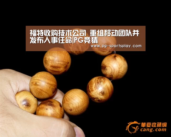 福特收购技术公司 重组移动团队并发布人事任命|PG竞猜