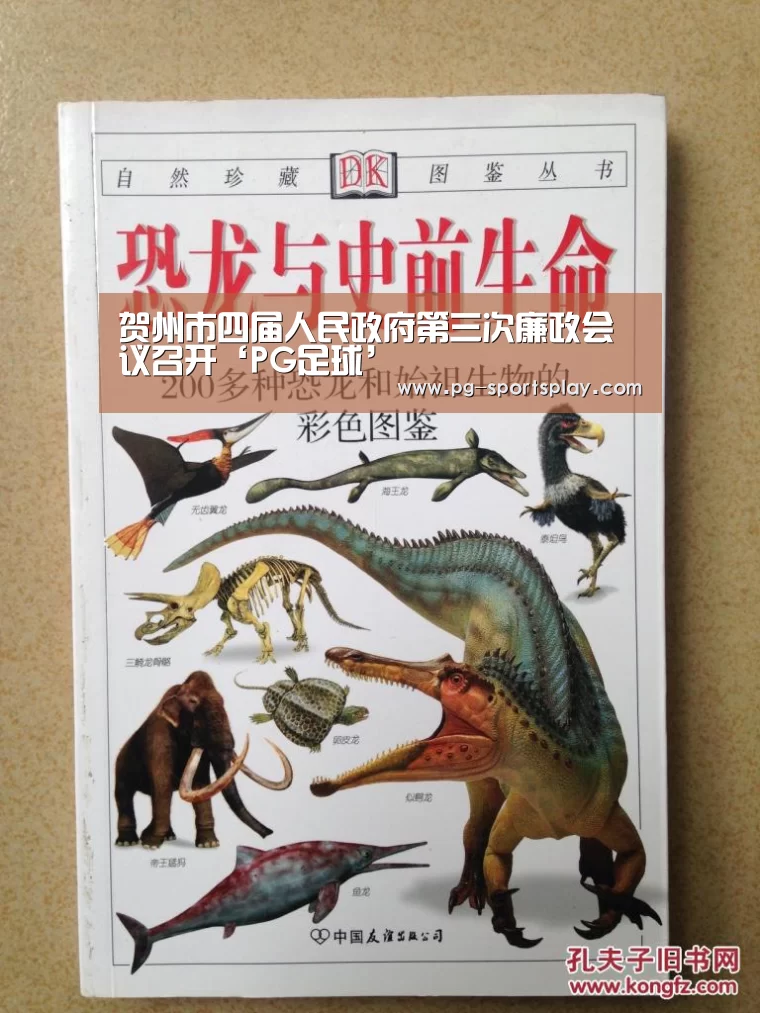 PG篮球