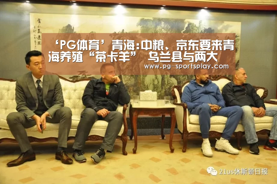 PG篮球