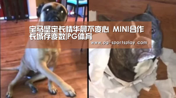 宝马坚定长情华晨不变心 MINI合作长城存变数|PG体育(图1) PG竞猜