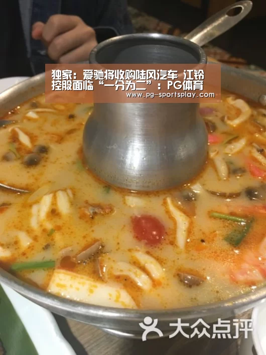 独家:爱驰将收购陆风汽车 江铃控股面临“一分为二”:PG体育(图2) PG篮球