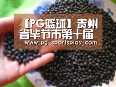 【PG篮球】贵州省毕节市第十届旅游产业发展大会开幕(图3) PG体育