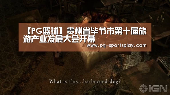 【PG篮球】贵州省毕节市第十届旅游产业发展大会开幕(图4) PG体育